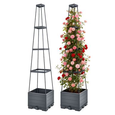 Planter Box with Trellis (2-Pack)