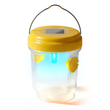 Solar Wasp Trap (3-Pack)