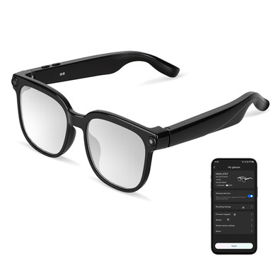 AI Smart Glasses