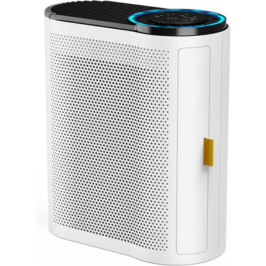 Air Purifier with Air Quality Sensors H13 True HEPA Filter