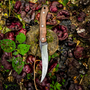 PREDATOR TUSK KNIFE