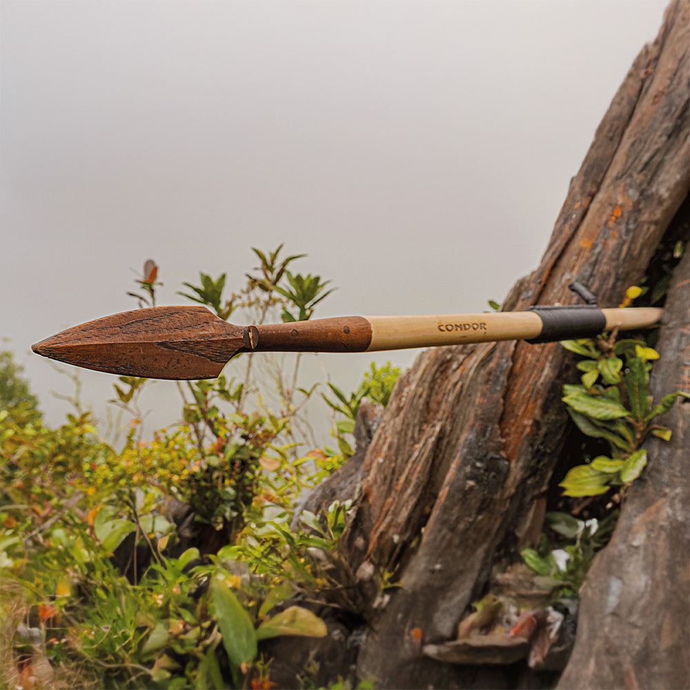 SPEAR