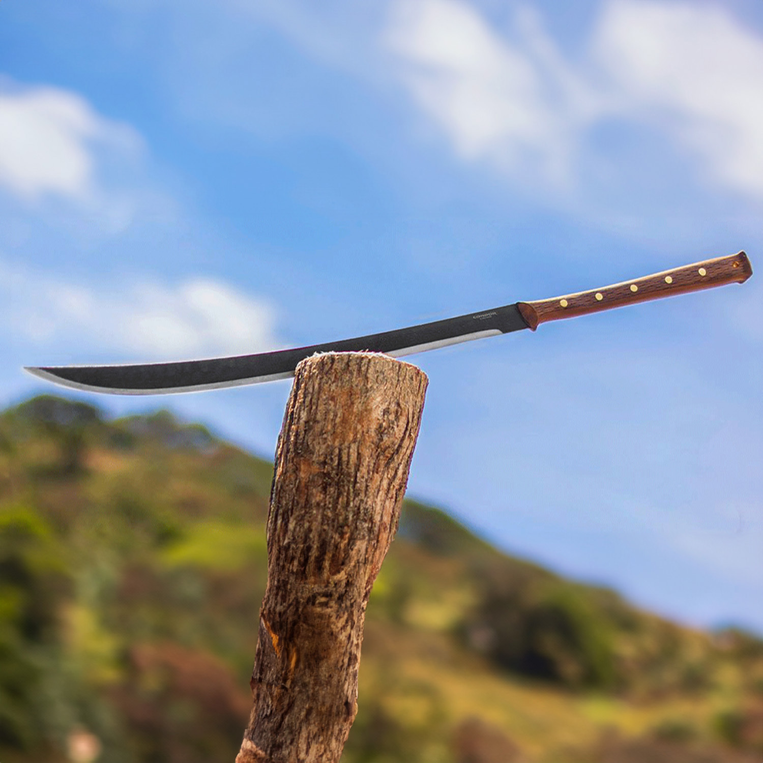 MACHETE