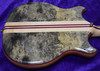 Alembic Stanley Clarke Signature Deluxe, Buckeye Burl with Ebony and Blue LED's