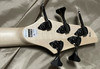 Dingwall Combustion 5 (3 Pickup), Whalepool Burst / Maple *On Order, ETA Aug. 2024