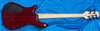 Spector Euro 5 Bantam - 32" Scale, Black Cherry Gloss / Rosewood