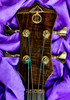 Alembic Mark King 4 Standard, Walnut Top w/ Ebony and Blue LED's *Similar On Order, ETA Aug. 2024