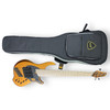 Dingwall NG-3 (6), Matte Gold Metallic / Maple *On Order, ETA July 2024