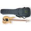 Dingwall Combustion Natural 3 Pickup 5 String Bass At Bass Central