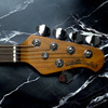 Ernie Ball Music Man StingRay 5 HH Special, Burnt Ends / Rosewood