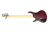 MTD Kingston Super 5 (V2), Dr. Brown's Burst w/ Maple 5 String Bass At Bass Central