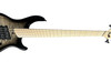 Dingwall Combustion 5 (3 Pickup), Blackburst w/ Maple 5 String Bass At Bass Central
