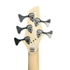 Dingwall, Combustion, 5 string, bass guitar, blackburst, sheldon dingwall, pau ferro, fanned frets