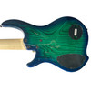 Dingwall, Combustion, 5 String, Bass guitar, fanned frets, whalepool, sheldon dingwall
