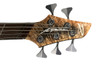 Dingwall, z5, z-5, darkglass, electric bass, 5 string bass, fanned frets, bass guitar, canadian made