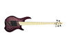 Dingwall Combustion (5), Ultra Violet w/ Maple 5 String Bass At Bass Central