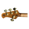 Ernie Ball Music Man StingRay 50th Anniversary LTD 4 H Special, Molten Gold / Ebony Only 300 Made 4 String Bass At Bass Central
