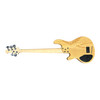 Lakland Skyline 55-02 Deluxe FRETLESS 5 String Fretless Bass At Bass Central