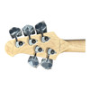Lakland Skyline 55-02 Deluxe FRETLESS 5 String Fretless Bass At Bass Central