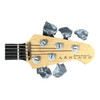 Lakland Skyline 55-02 Deluxe FRETLESS 5 String Fretless Bass At Bass Central