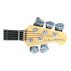 Lakland Skyline 55-60 FRETLESS 3TSB / L Fretless  lined Ebony 5 String Bass At Bass Central