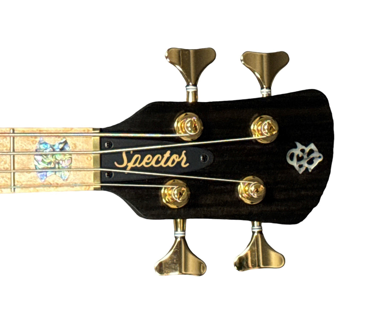 ベース Spector USA NS-4H2 Electric Bass Guitar Spector NS-4H2 USA Spalted Maple Top