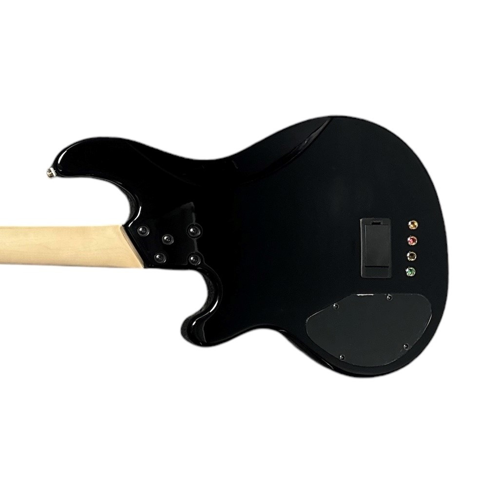 Lakland Skyline 44-02 Custom Spalted Maple w/Rosewood DEMO-FLOOR