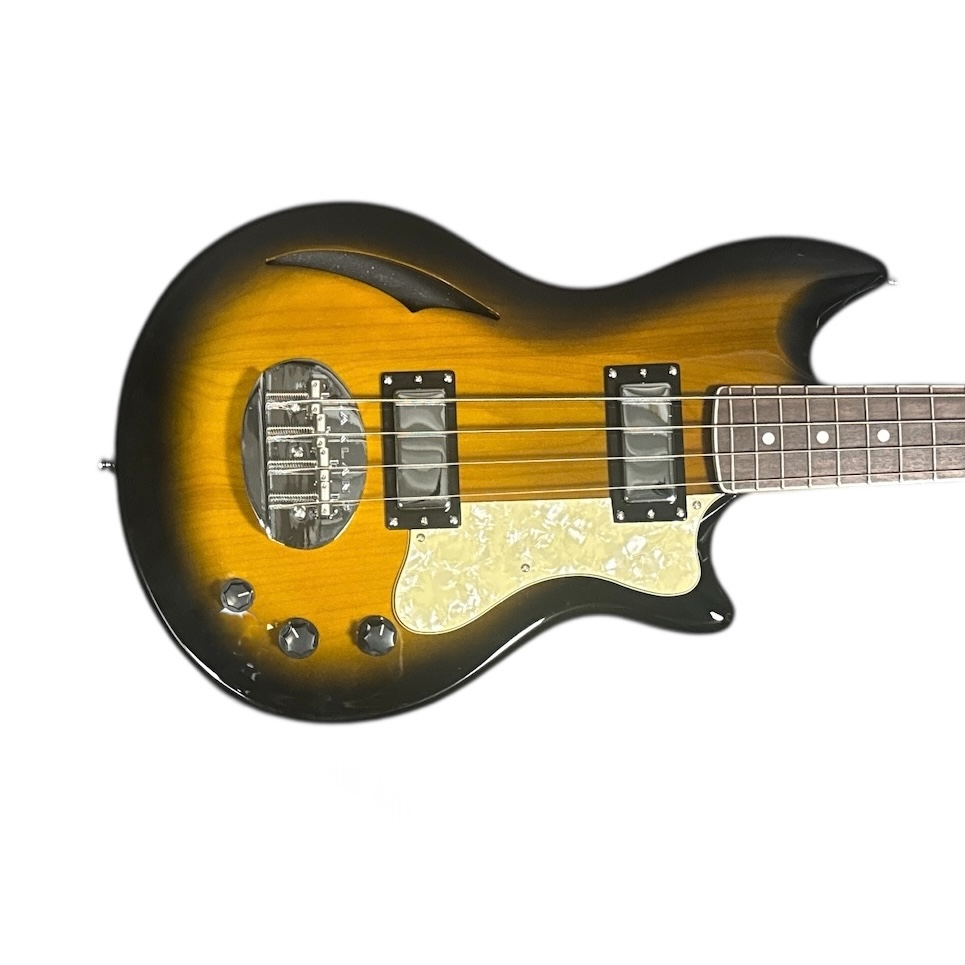 Lakland Skyline HB-30 Short Scale Hollow Body, Sunburst / Pau Ferro 7.5 LBS  *IN STOCK*