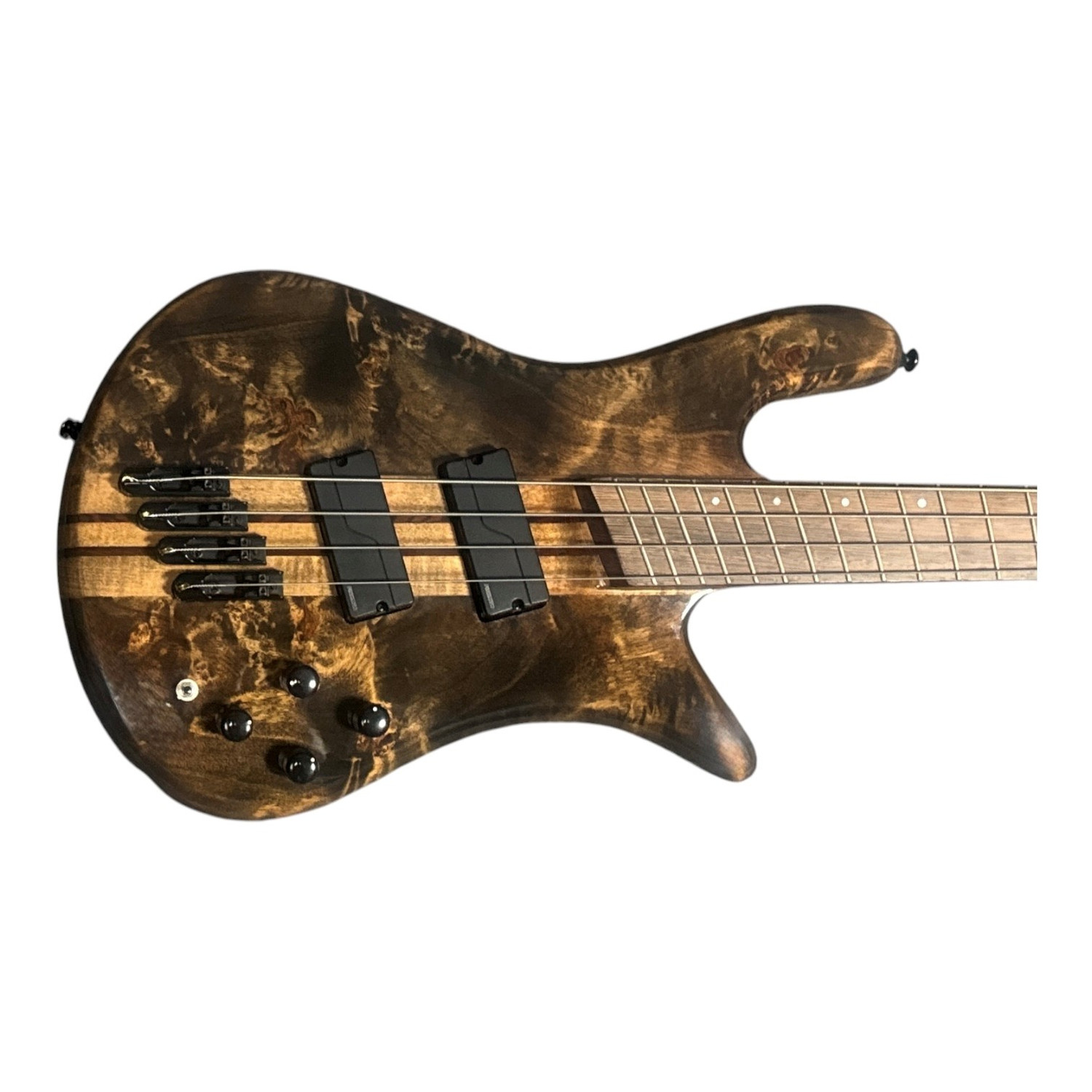 spector ベース Spector NS Dimension 4-String, Super Faded Black Gloss Over Poplar