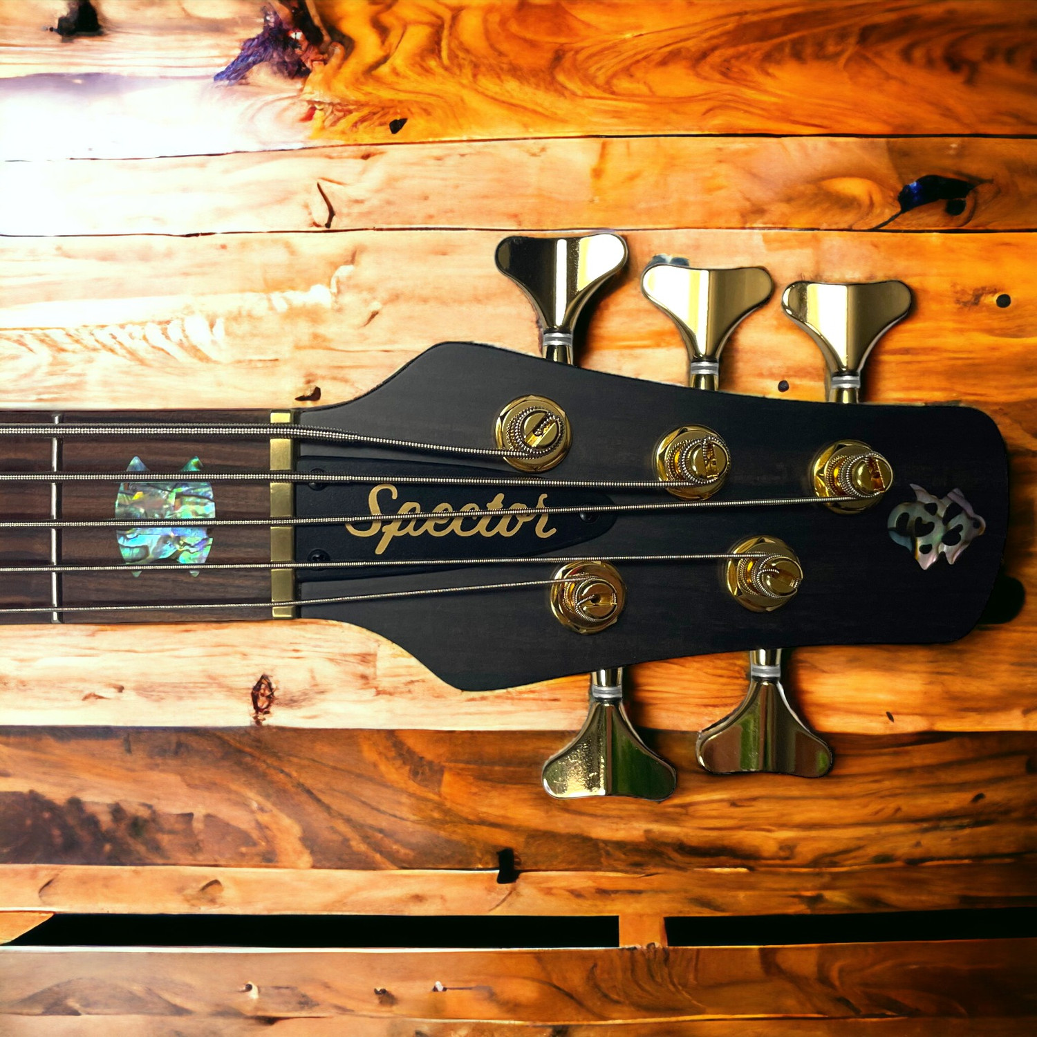 Spector USA NS-5XL, Custom Matte Green-Blue Burst,Pau Ferro,Haz