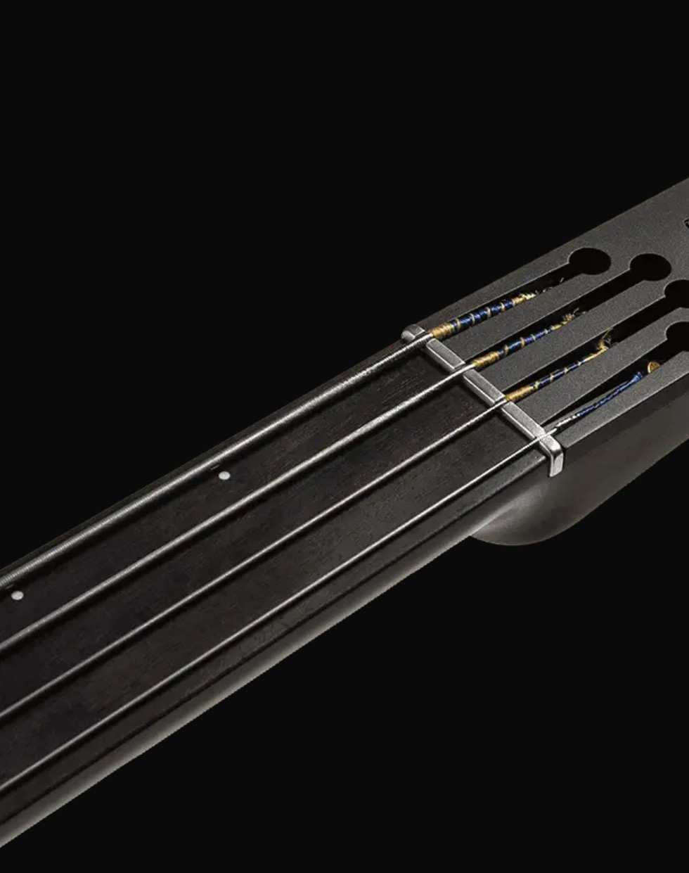 NS Design CR4 Radius Charcoal Stain Fretless