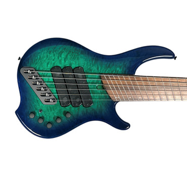 Dingwall Combustion 6 (3 Pickup), Whalepool / Pau Ferro 6 String Bass At Bass Central