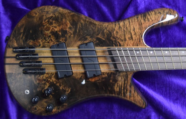 Spector NS Dimension 4-String, Faded Black Gloss Over Poplar Burl with Wenge Fingerboard