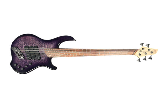 Dingwall, Combustion, Ultra Violet, 5 String, Bass Guitar, EMG, Sheldon Dingwall