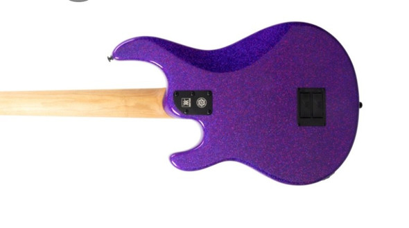 Ernie Ball Music Man StingRay 5 "DarkRay", NEW COLOR Plasma Purple / Ebony 5 String Bass At Bass Central