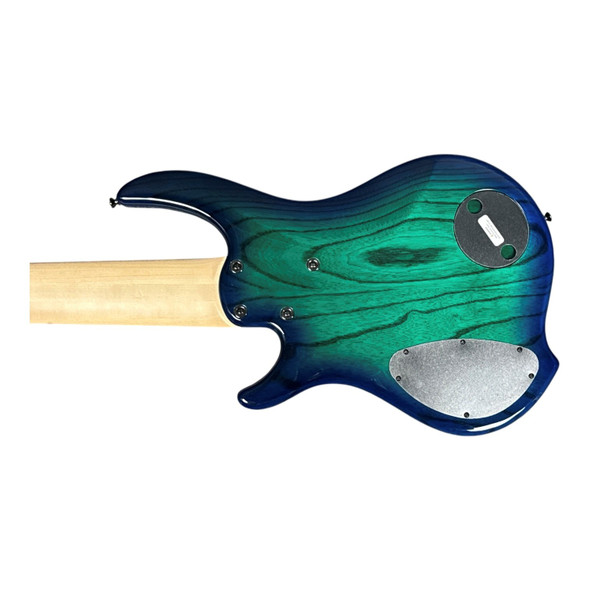 Dingwall Combustion 6 (3 Pickup), Whalepool / Pau Ferro 6 String Bass At Bass Central