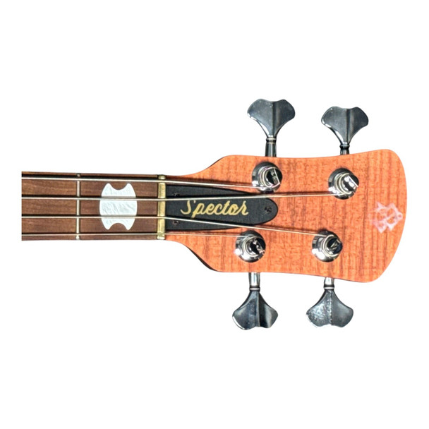 Spector Euro 4 RST, Sienna Stain w/ Roasted Maple 4 String Bass At Bass Central