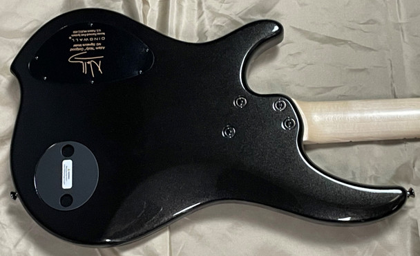 Dingwall NG2 Black Metallic 4 String Bass At Bass Central