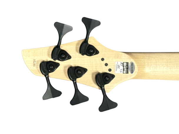 Dingwall Combustion 5 (3 Pickup), Indigo Burst / Pau Ferro 5 String Bass At Bass Central