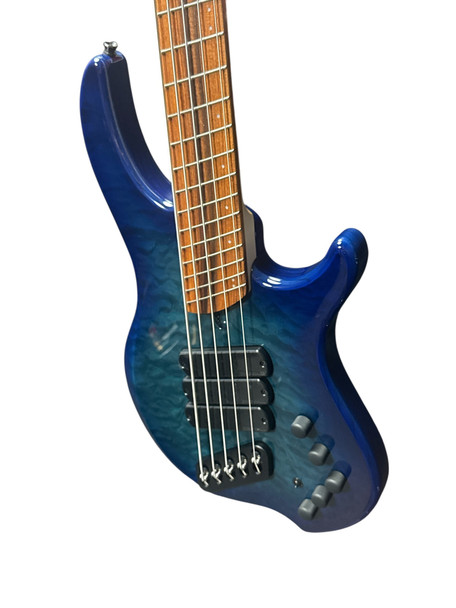Dingwall Combustion 5 (3 Pickup), Indigo Burst / Pau Ferro 5 String Bass At Bass Central