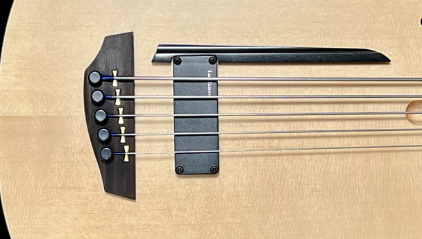 Godin Acoustic/Electric A5 Ultra FRETLESS, Natural 5 String Bass At Bass Central
