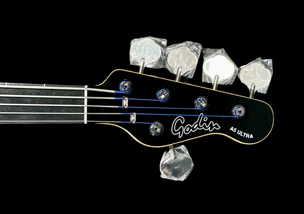 Godin Acoustic/Electric A5 Ultra FRETLESS, Natural 5 String Bass At Bass Central