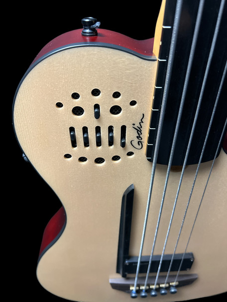 Godin Acoustic/Electric A5 Ultra FRETLESS, Natural 5 String Bass At Bass Central