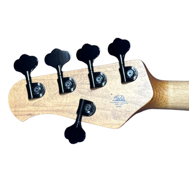 Ernie Ball MusicMan StingRay 5 "DarkRay" Starry Night 5 String Bass