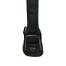 Dingwall Combustion Whalepool 3 Pickup 4 String Bass At Bass Central