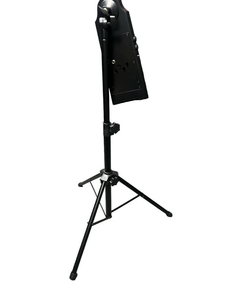 NS Design NXT4A Electric Upright Bass, Sunburst *IN STOCK* 4 String EUB At Bass Central