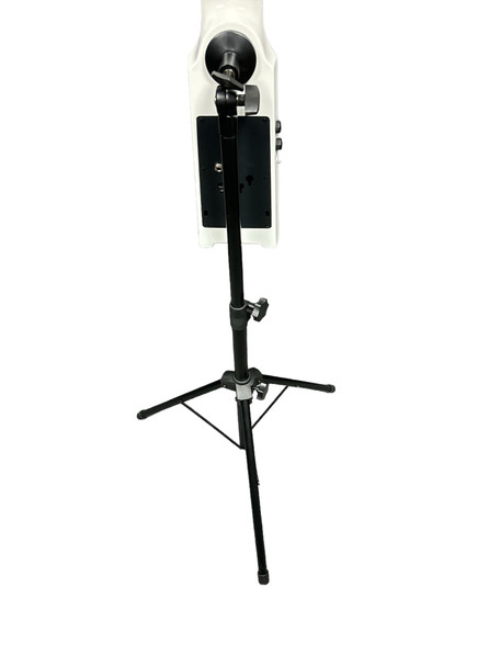 NS Design Electric Upright Bass, WAV 4C, Brilliant White  4 String EUB At Bass Central