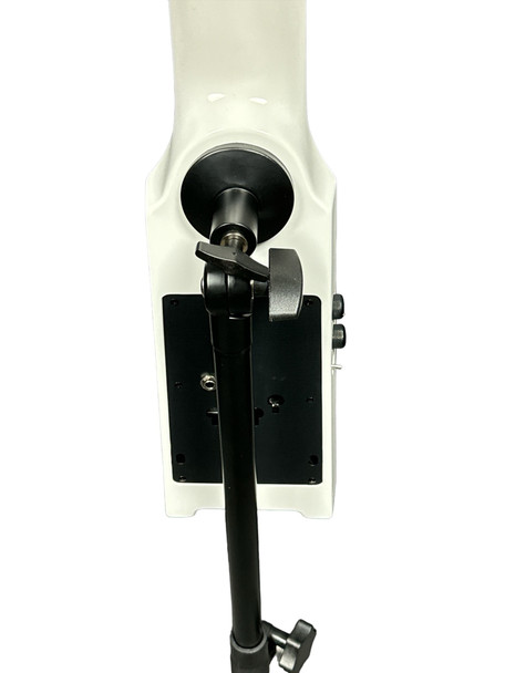 NS Design Electric Upright Bass, WAV 4C, Brilliant White  4 String EUB At Bass Central