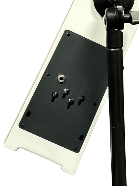 NS Design Electric Upright Bass, WAV 4C, Brilliant White  4 String EUB At Bass Central