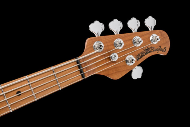 Ernie Ball Music Man StingRay 5 H Special, Dazzler / Roasted Maple 5 string Bass At Bass Central